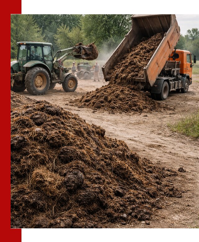Доставка навоза самосвалами в Карабулаке для сельхозпотребностей